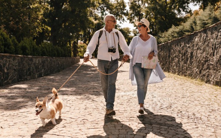 Pet-friendly: які готелі приймають з домашніми улюбленцями?